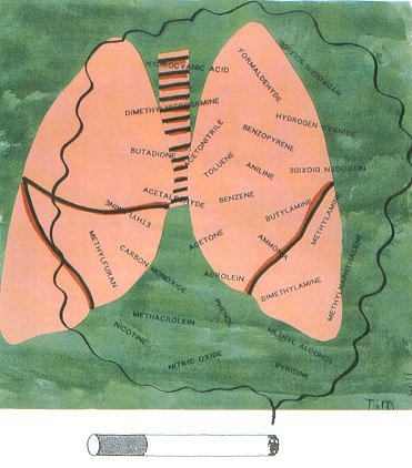 Lungs with chemical names from smoke written all through them.